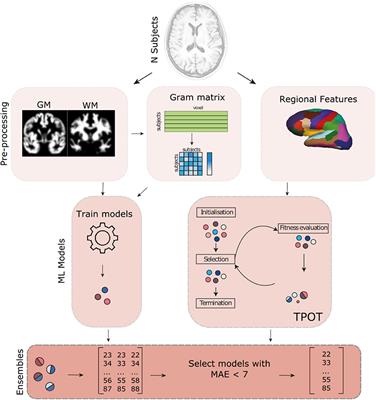 Brain-Age Prediction Using Shallow Machine Learning: Predictive Analytics Competition 2019